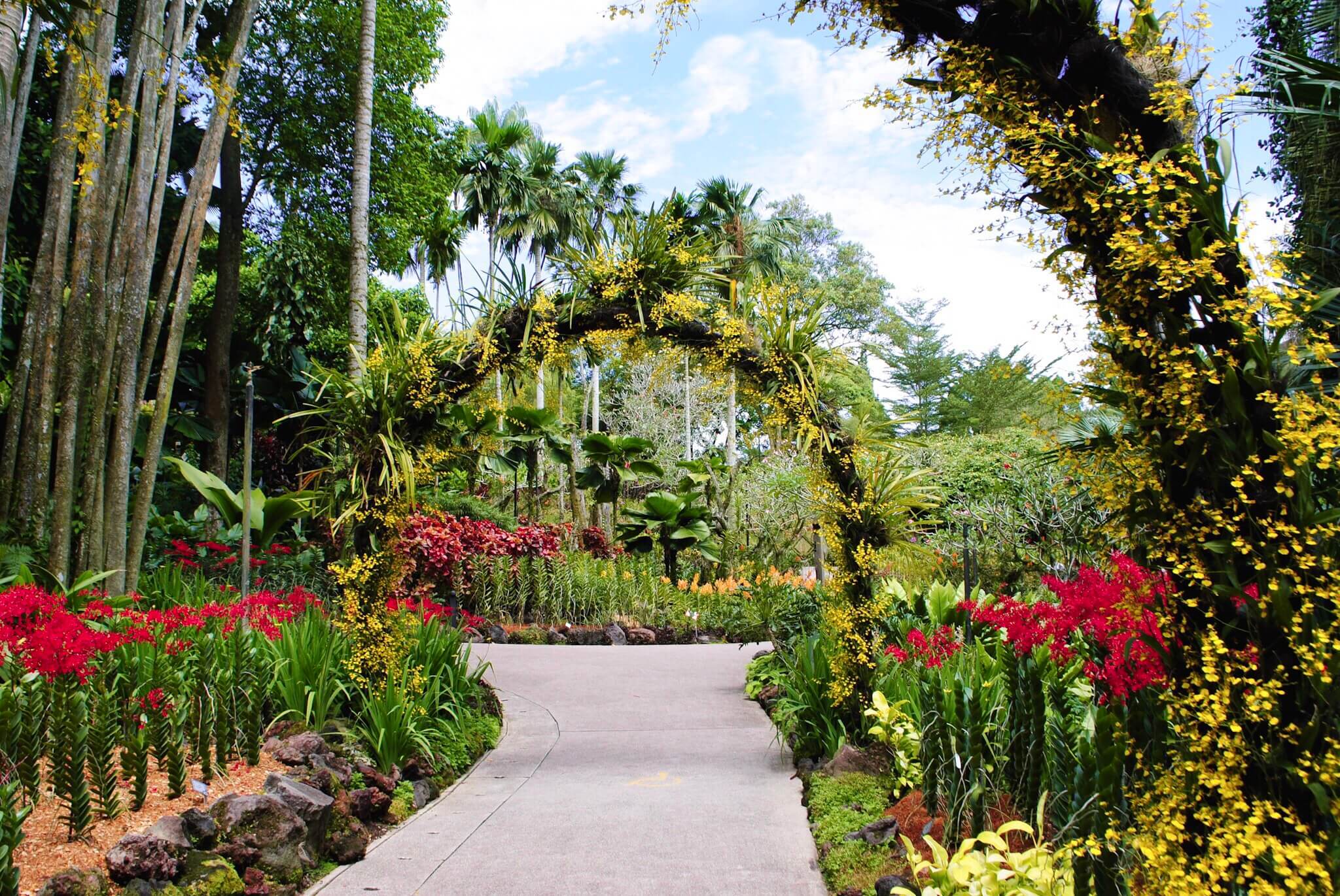 path through flower archways in Singapore Botanic Gardens