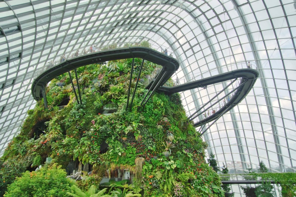 walkway in cloud forest, gardens by the bay in Singapore
