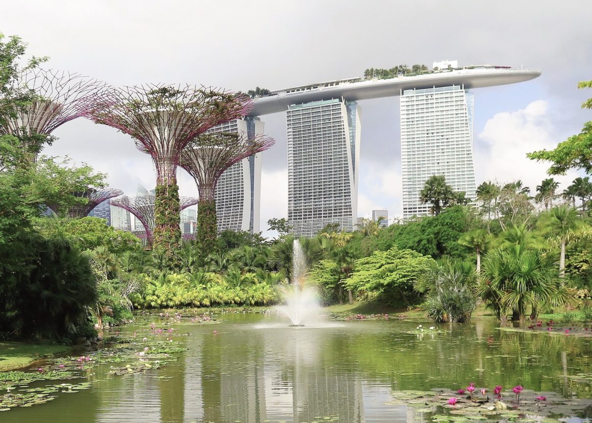 gardens by the bay pond with hotel in background