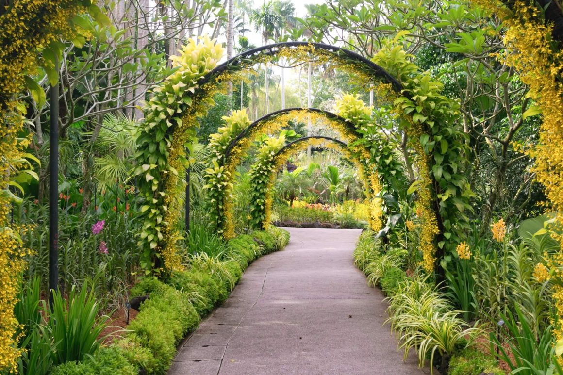 garden archway at singapore botanic gardens 