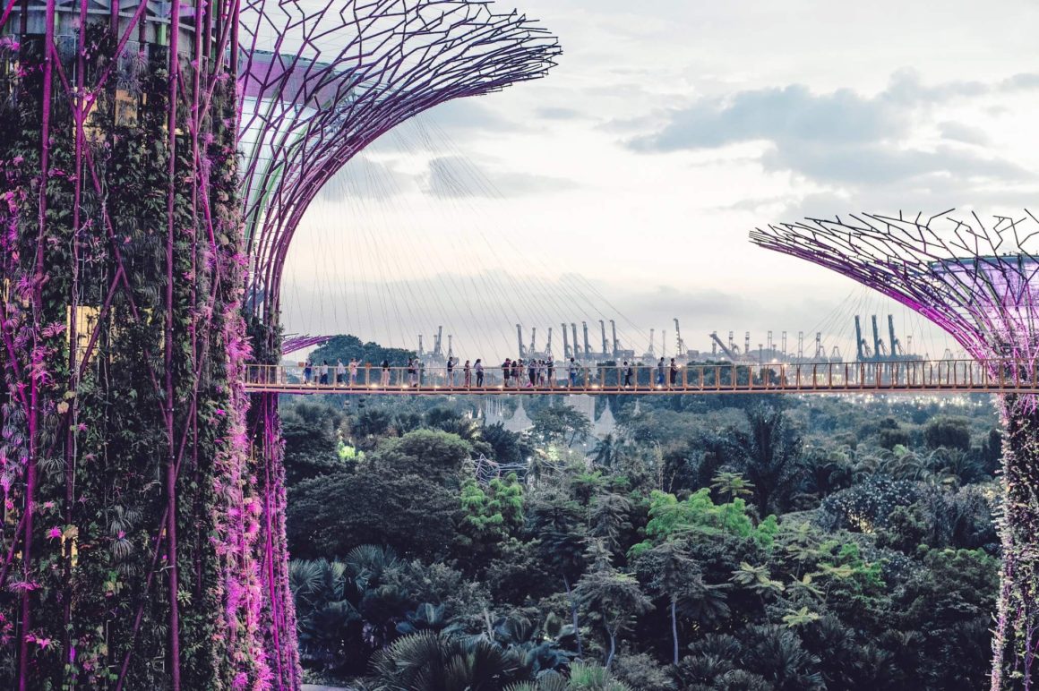 skyway in the super trees in singapore
