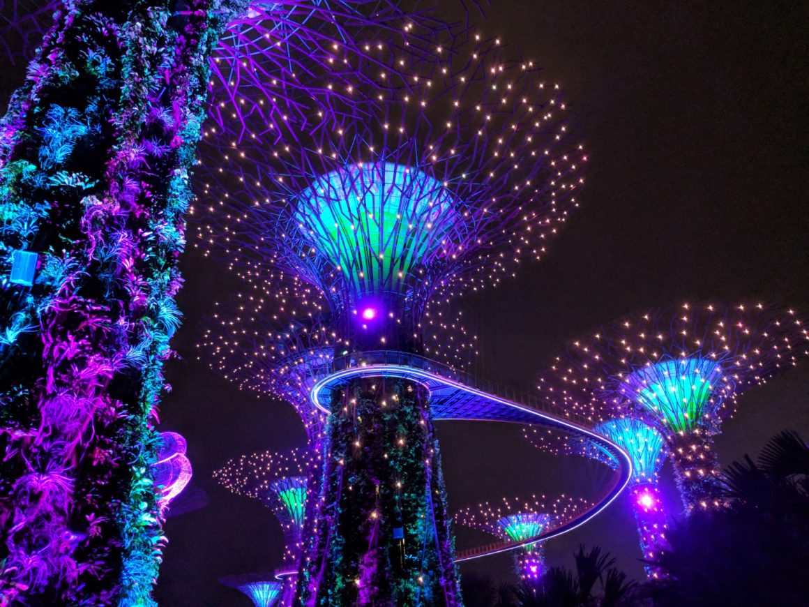 supertrees at night in Supertree Grove, gardens by the bay in marina bay Singapore. One of the best things to do when you only have 1 day in Singapore.