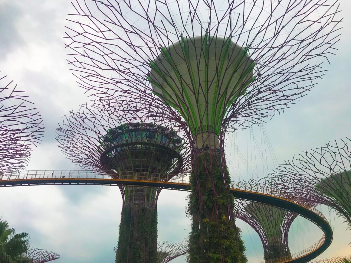 supertrees in gardens by the bay