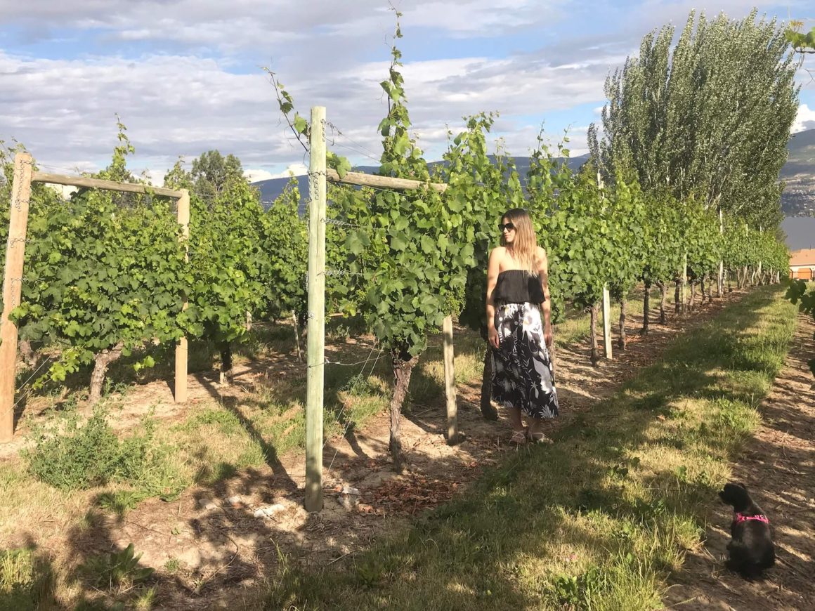 checking out one of the vineyards in kelowna with Brooklyn by my side