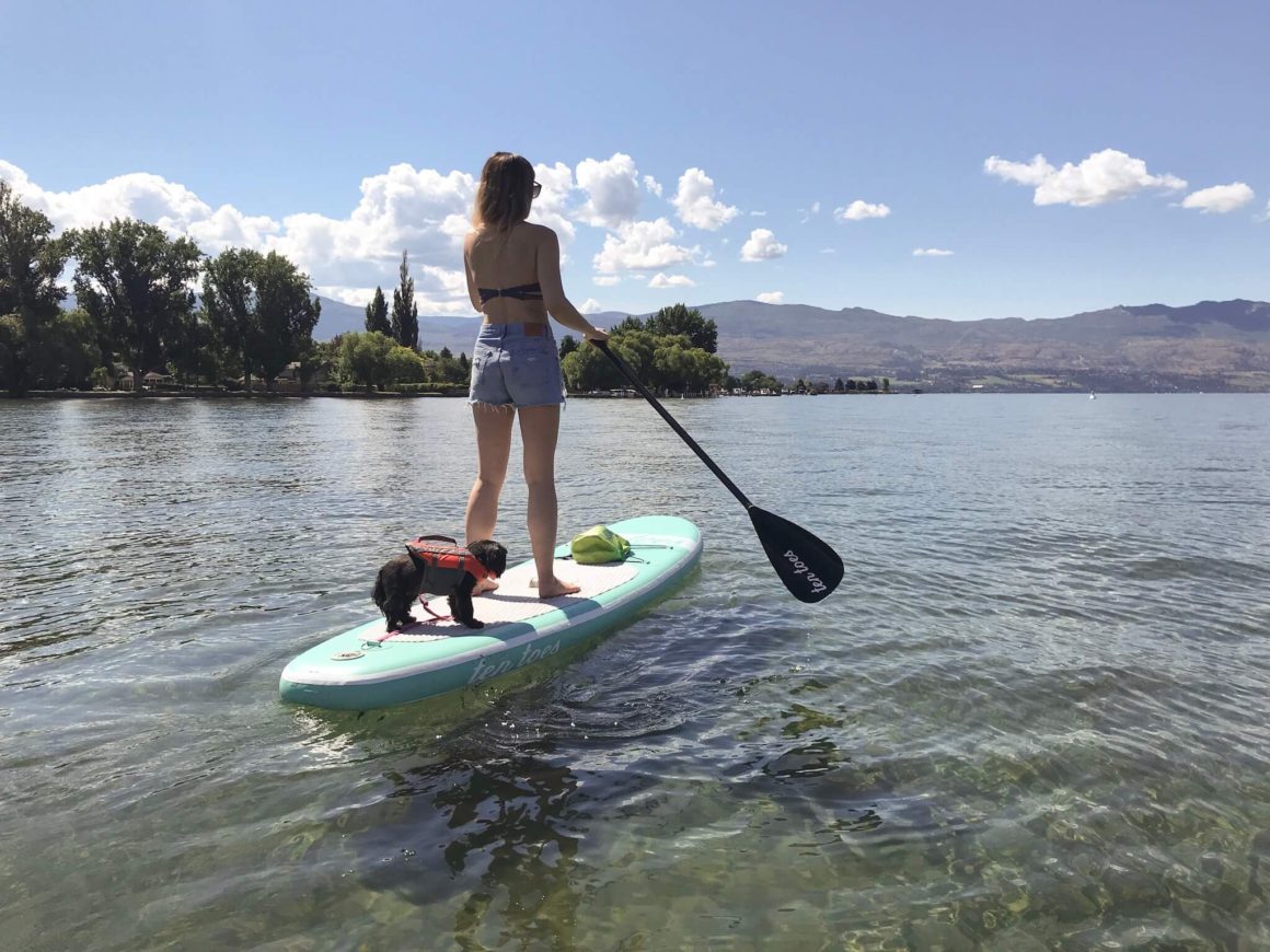 stand up paddle boarding on Okanagan Lake in kelowna bc