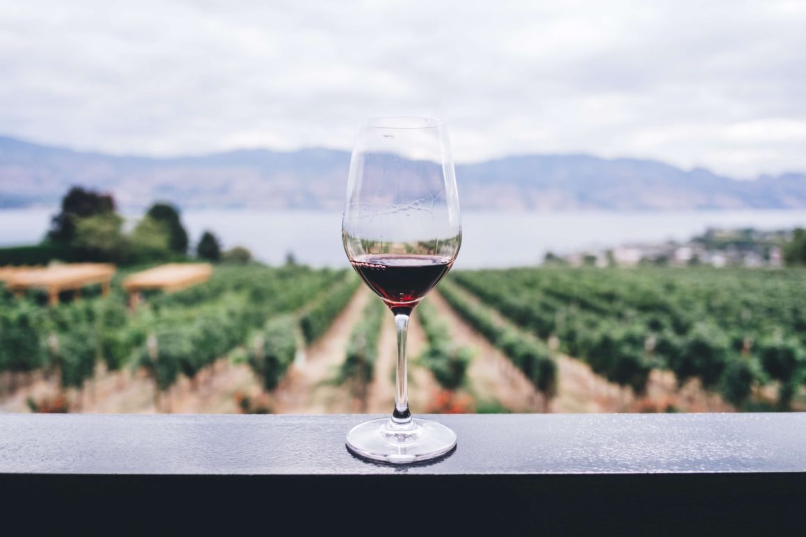 view of a kelowna vineyard and Okanagan Lake from a deck with a glass of red wine