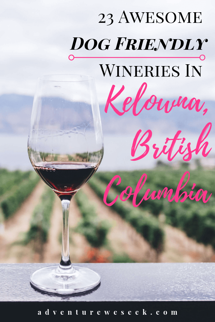 The complete guide to dog friendly wineries in Kelowna, British Columbia. Some of the best Kelowna wineries and vineyards there are, including wineries in West Kelowna too! Don’t leave your dog behind, bring her along to one of these awesome dog friendly wineries in Kelowna! After all, wine tasting is one of the best things to do in Kelowna, BC.