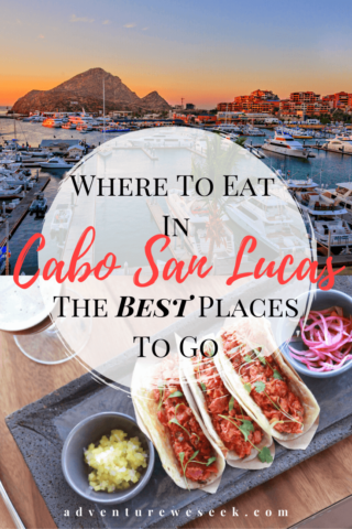 11 Best Restaurants In Cabo San Lucas 